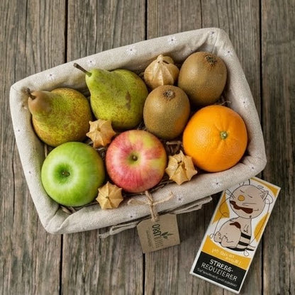 Obstkorb Pausen-Genuss Draufsicht auf Saisonobst