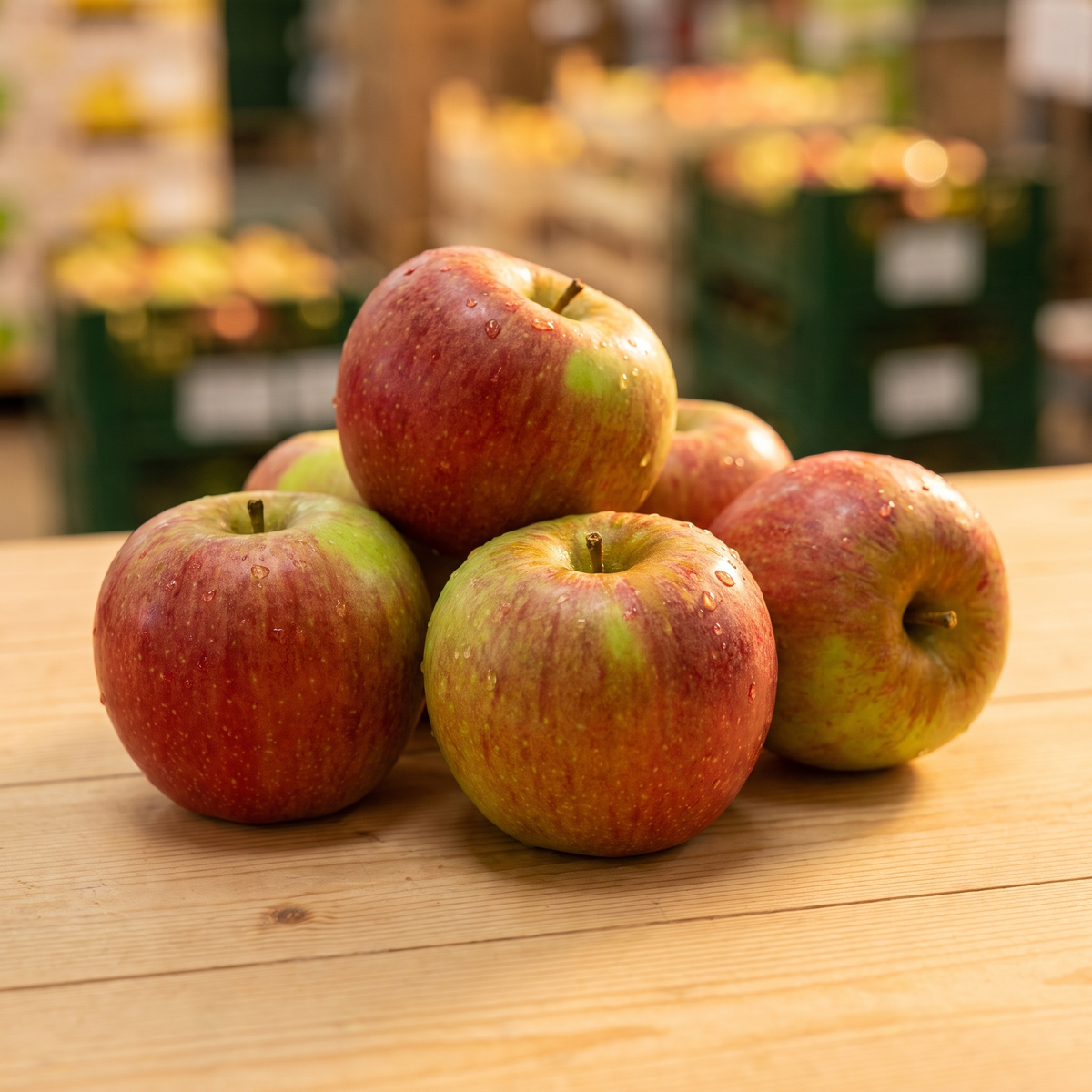 Obstsorten Apfel Delbar