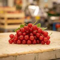 1 x Johannisbeeren