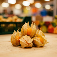 3 x Physalis