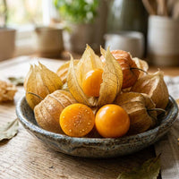 3 x Physalis